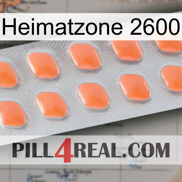 Home Zone 2600 26.jpg